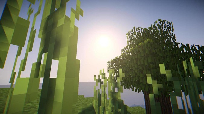 猫那么爱干净，却为什么不喜欢洗澡？